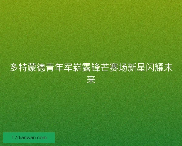 多特蒙德青年军崭露锋芒赛场新星闪耀未来