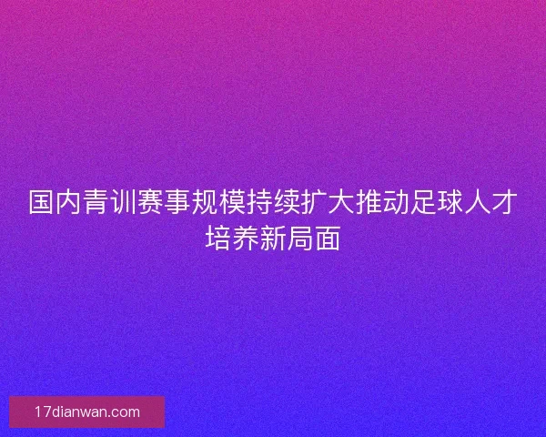 国内青训赛事规模持续扩大推动足球人才培养新局面